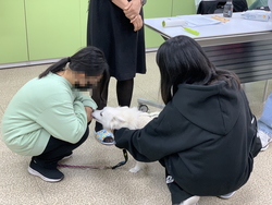 성남도촌종합사회복지관은 아이랜드센터 아동을 대상으로 코로나19 우울감 극복을 위해 동물매개 정서치료 프로그램을 진행하고 있다.